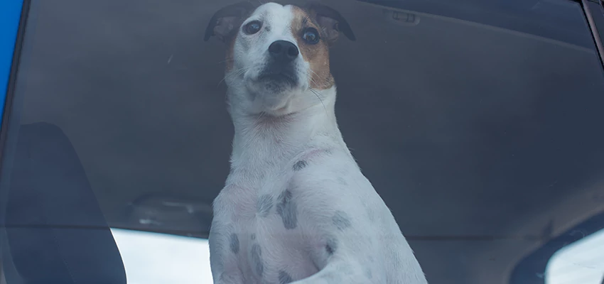 Car Lockout Solutions in Oasis, California